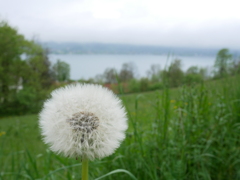 初心写ー第１３週目、その１２