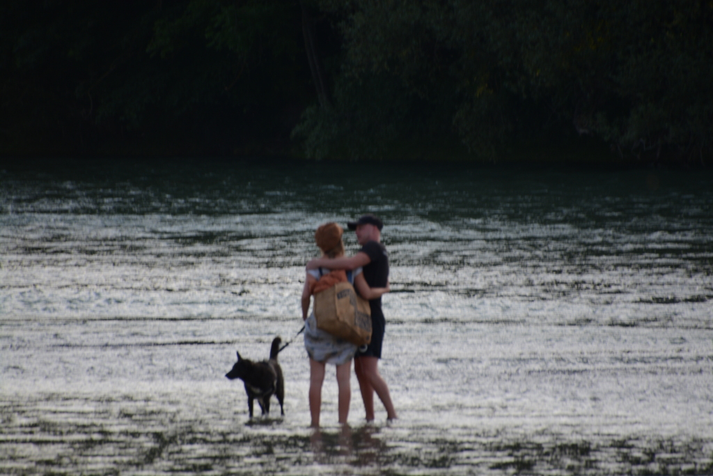 初心写ー第１６週目、その１２