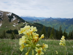 初心写ー第１４週目、その２３