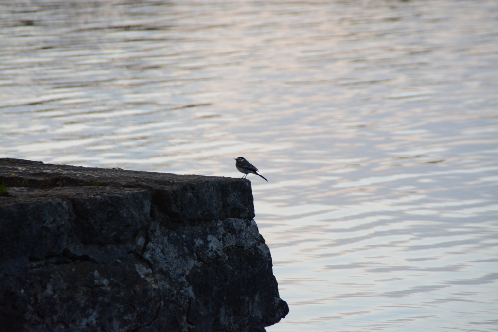 初心写ー第１４週目、その７