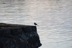 初心写ー第１４週目、その７