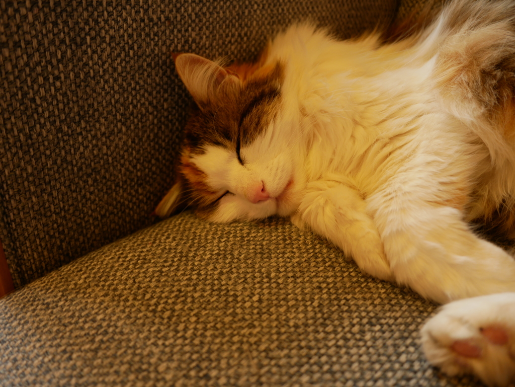 初心写ー第１４週目、その３