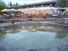 初心写ー第１４週目、その１７