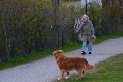 初心写ー第１２週目、その１３