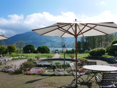 初心写ー第１４週目、その１５