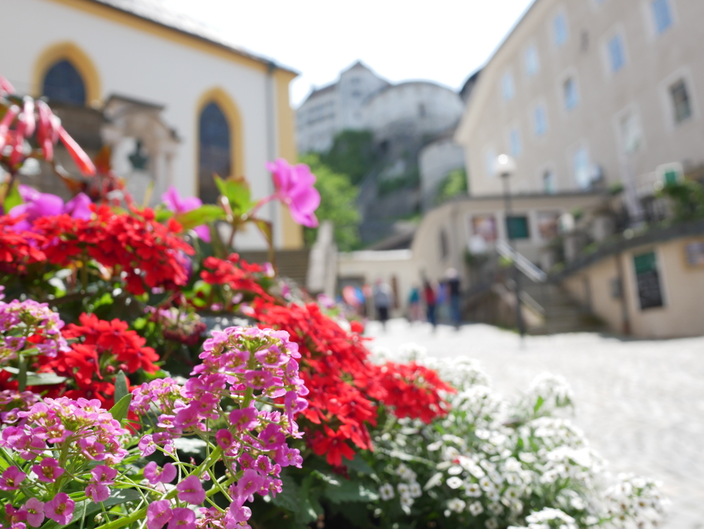 初心写ー第１６週目、その６