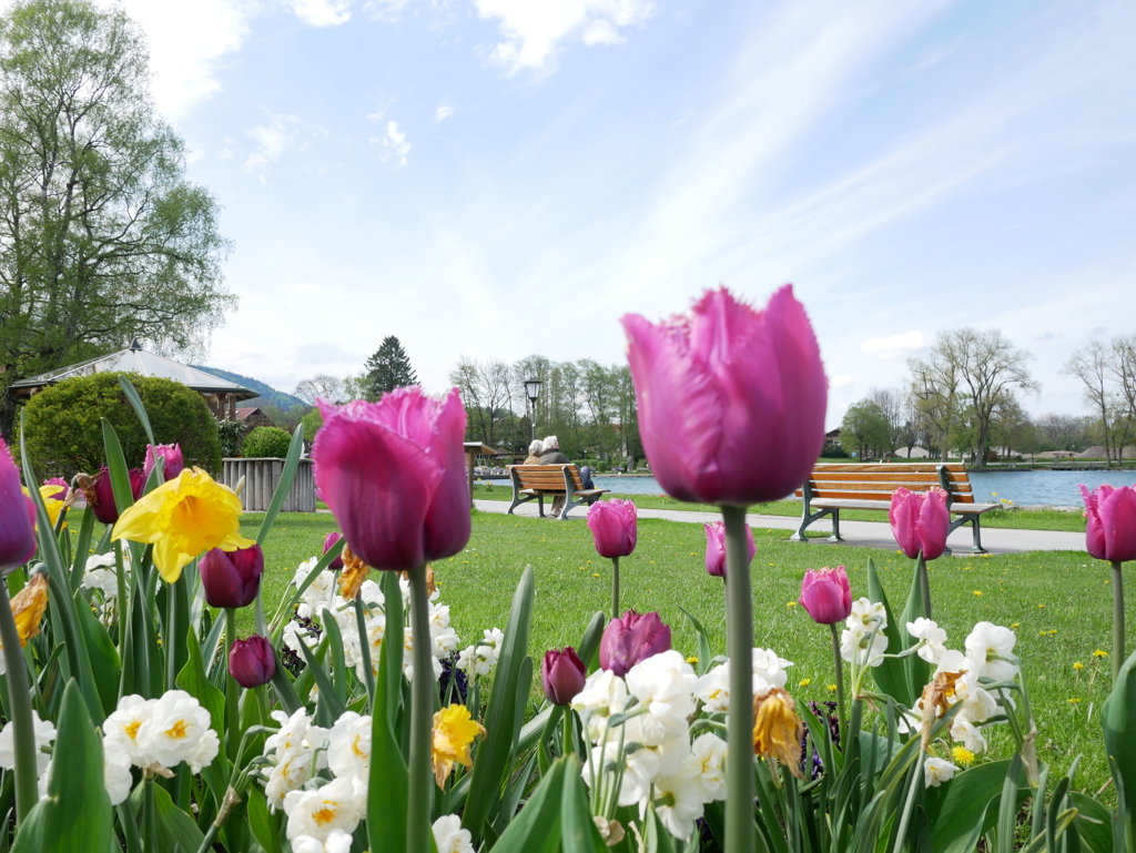 初心写ー第１３週目、その９
