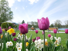 初心写ー第１３週目、その９