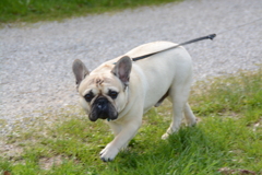 初心写ー第１２週目、その１２