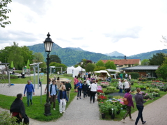 初心写ー第１４週目、その２４