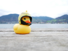 初心写ー第１２週目、その６