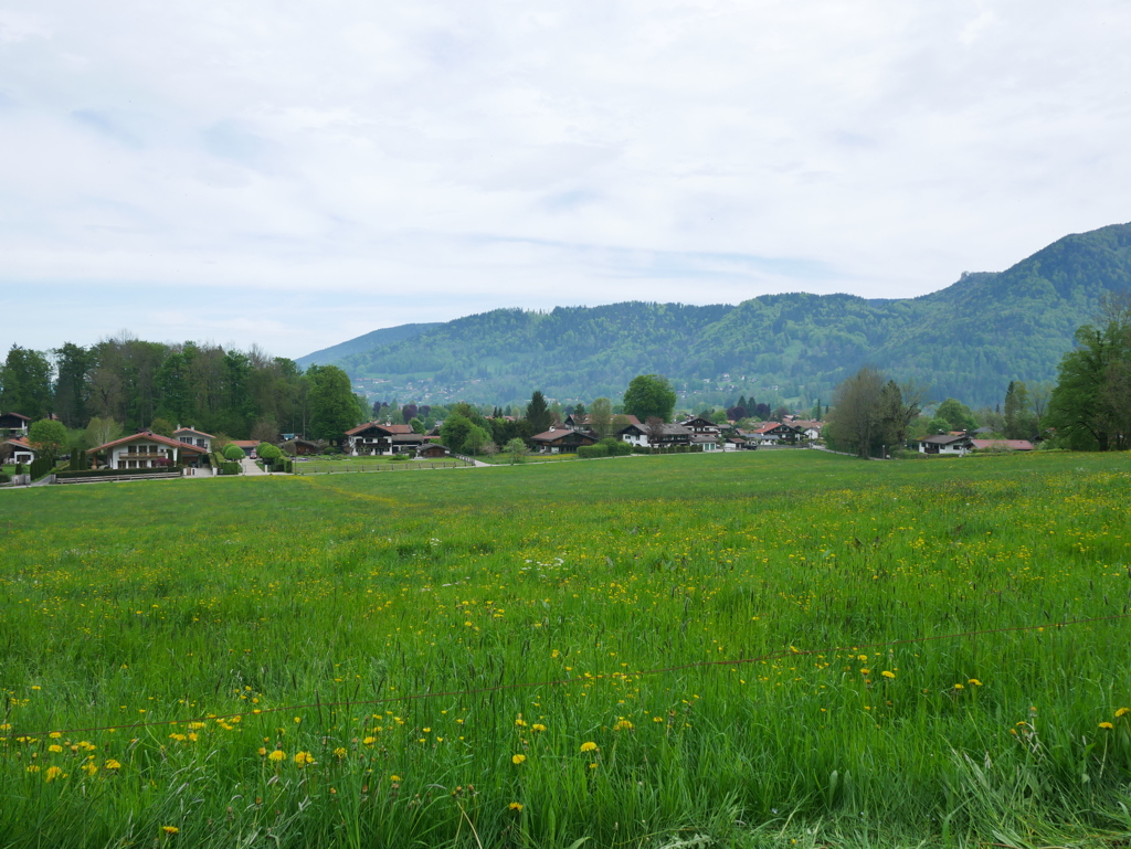 初心写ー第１４週目、その１８