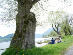 初心写ー第１３週目、その３