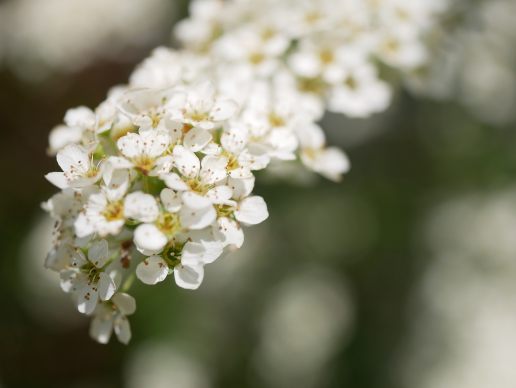 初心写ー第１３週目、その８