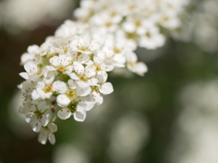 初心写ー第１３週目、その８