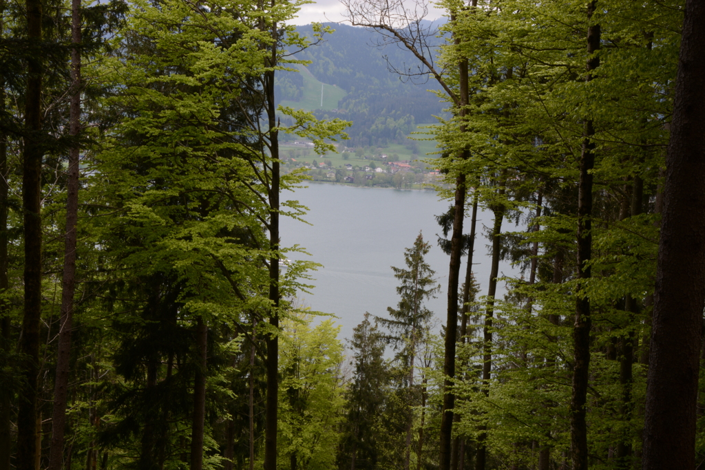 初心写ー第１４週目、その１２