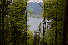 初心写ー第１４週目、その１２