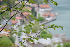 初心写ー第１４週目、その１３