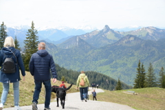 初心写ー第１４週目、その３６