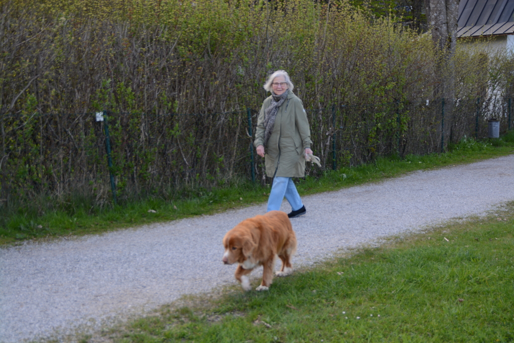 初心写ー第１２週目、その１４