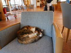 初心写ー第１４週目、その２