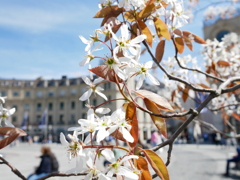 初心写ー第１０週目、その１０