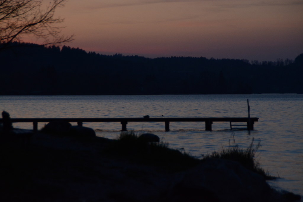 初心写ー第１２週目、その１５