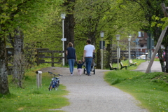 初心写ー第１３週目、その１０