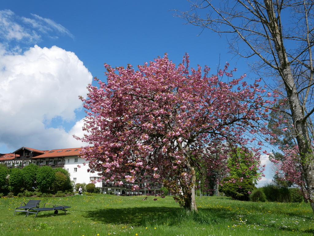 初心写ー第１３週目、その６