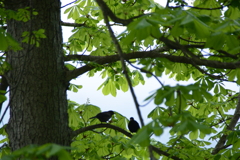 初心写ー第１３週目、その２０