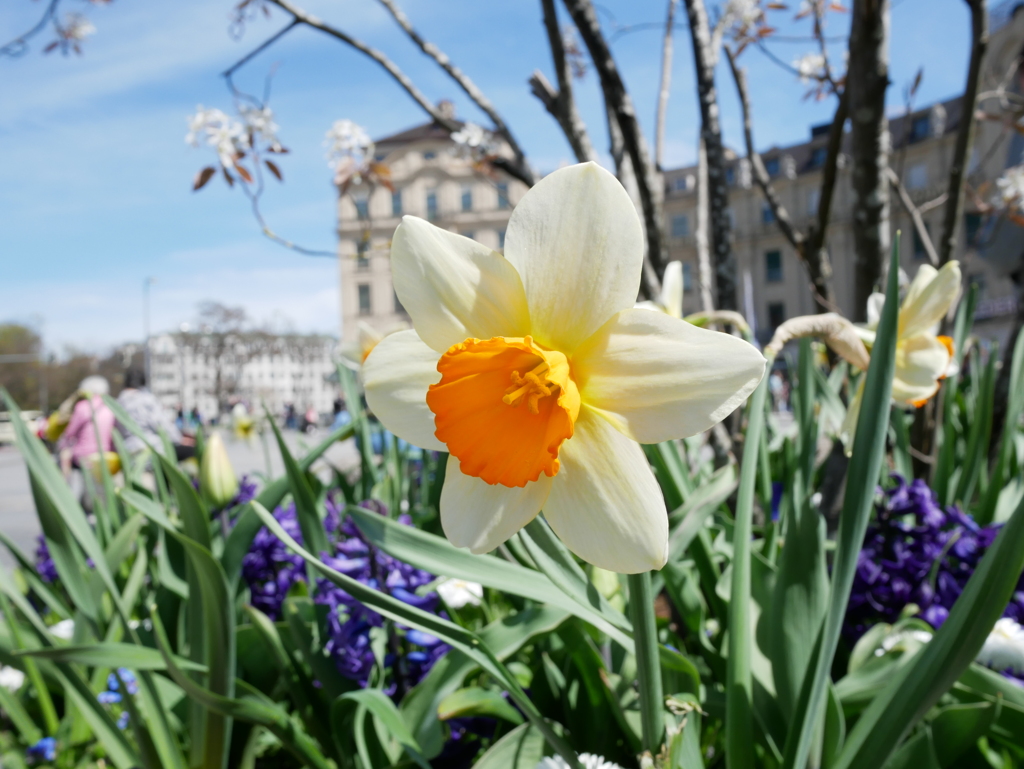 初心写ー第１０週目、その９