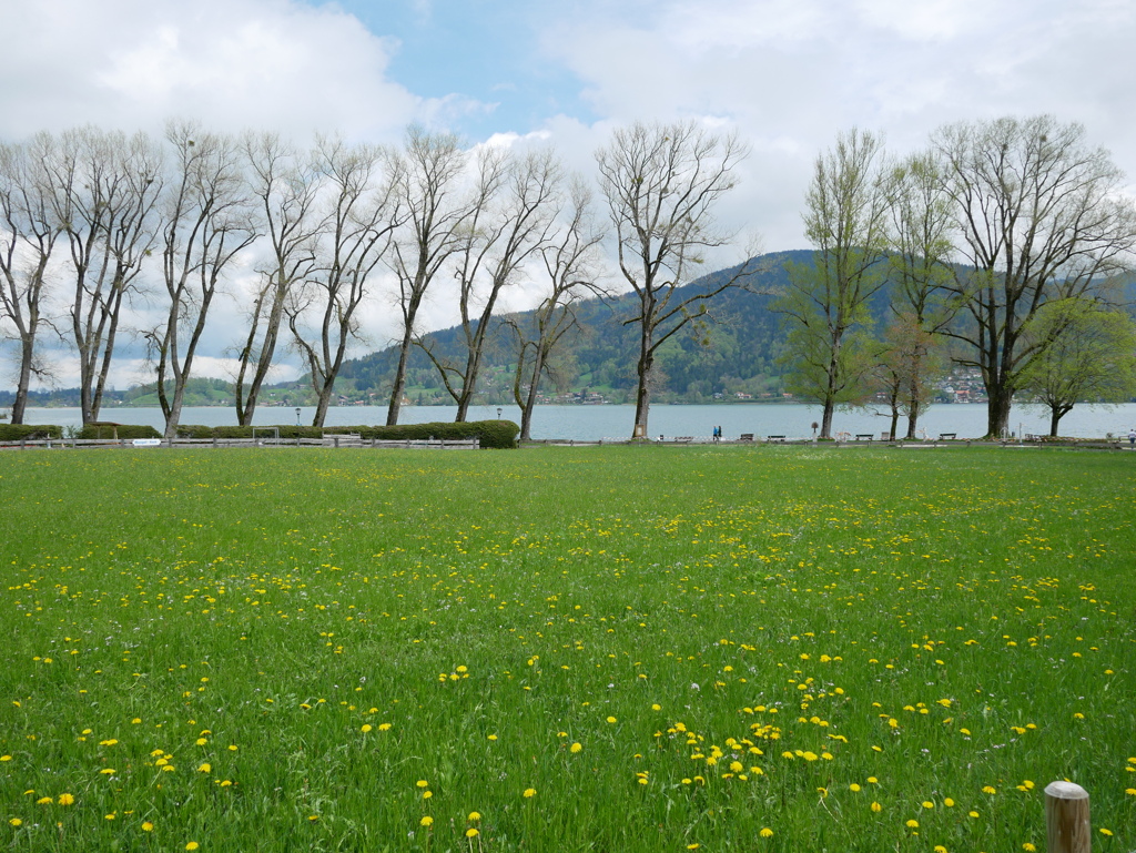 初心写ー第１２週目、その２６