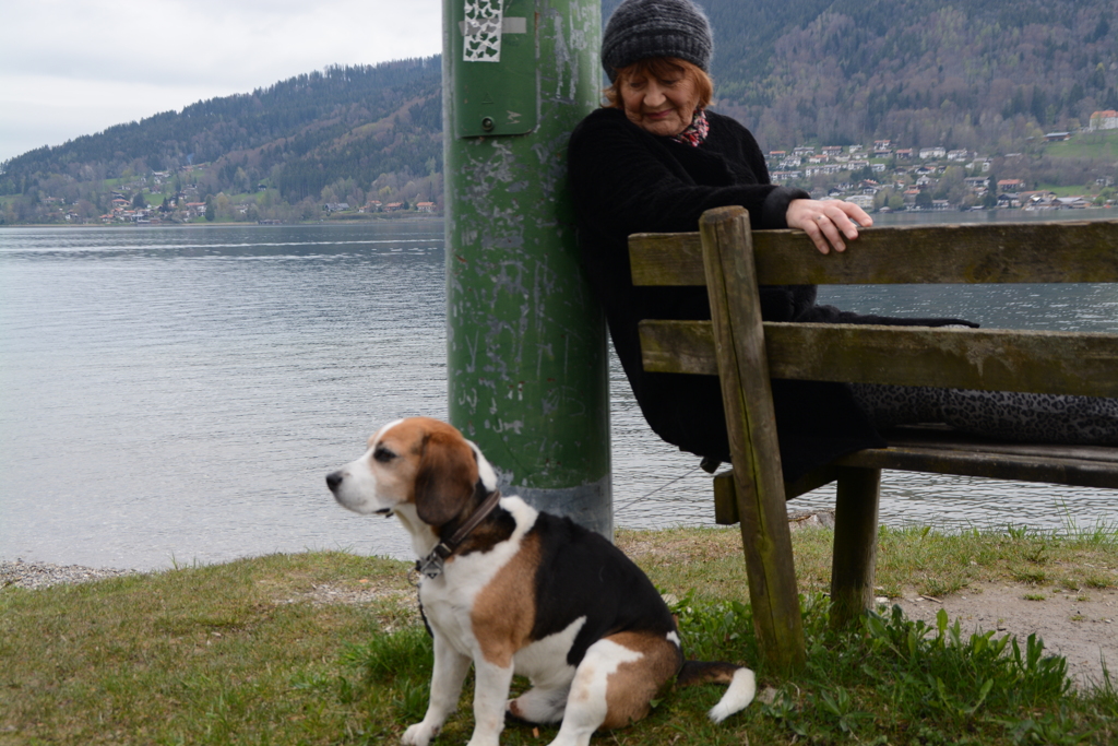 初心写ー第１２週目、その１