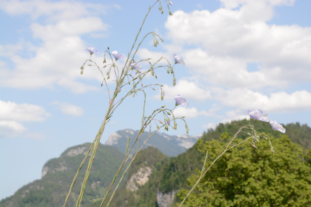 初心写ー第１６週目、その２