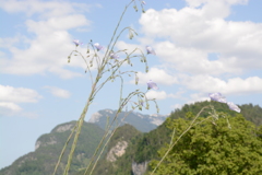 初心写ー第１６週目、その２