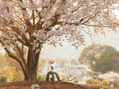 山桜