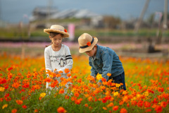 花泥棒にいきましたね