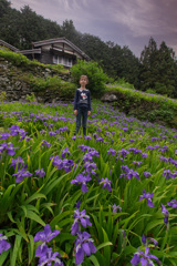 イチハスの咲く里