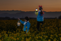 菜の花畑に入日薄れ