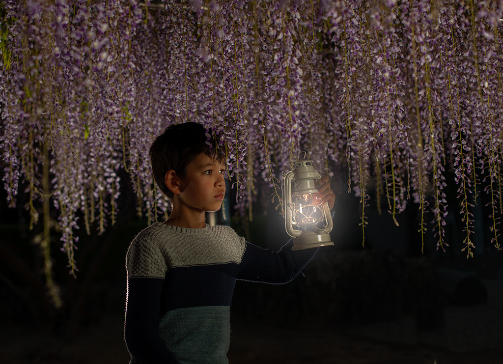 暗くなるので待って