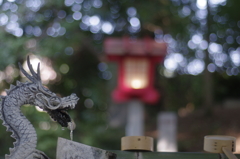 ペンタックス　SMC Ｍ50ｍｍＦ1.7　開放