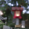 ペンタックス　SMC Ｍ50ｍｍＦ1.7　開放