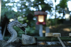 まいど～。CONTAX  ZEISS 35mmF1.4MMJ  カイホウ