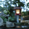 まいど～。CONTAX  ZEISS 35mmF1.4MMJ  カイホウ