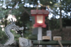 なんかへんなボケ　　ズミタール開放