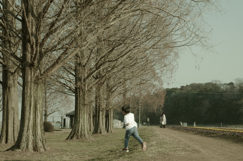 ペンタックスでシネマ調