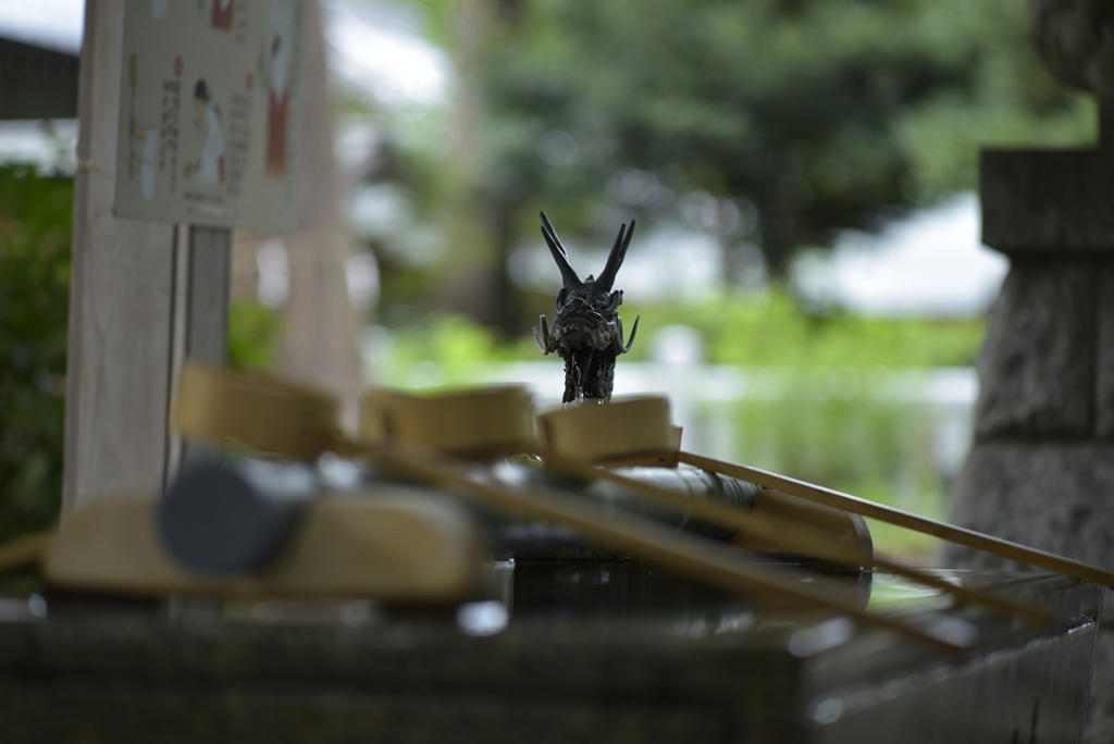 ん～良いなAi105mm F2.5s 開放 その２