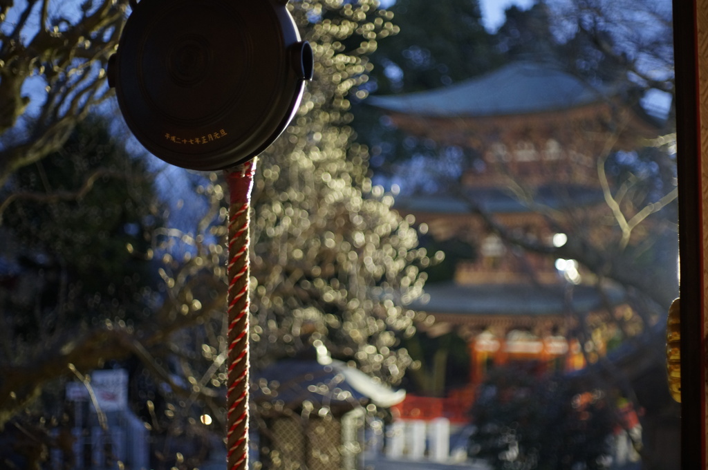 オリンパス　ズイコーオート40mmF1.4(PEN用)