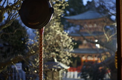 オリンパス　ズイコーオート40mmF1.4(PEN用)