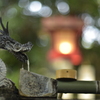 ニッコールAi85mm F1.4s 開放なら